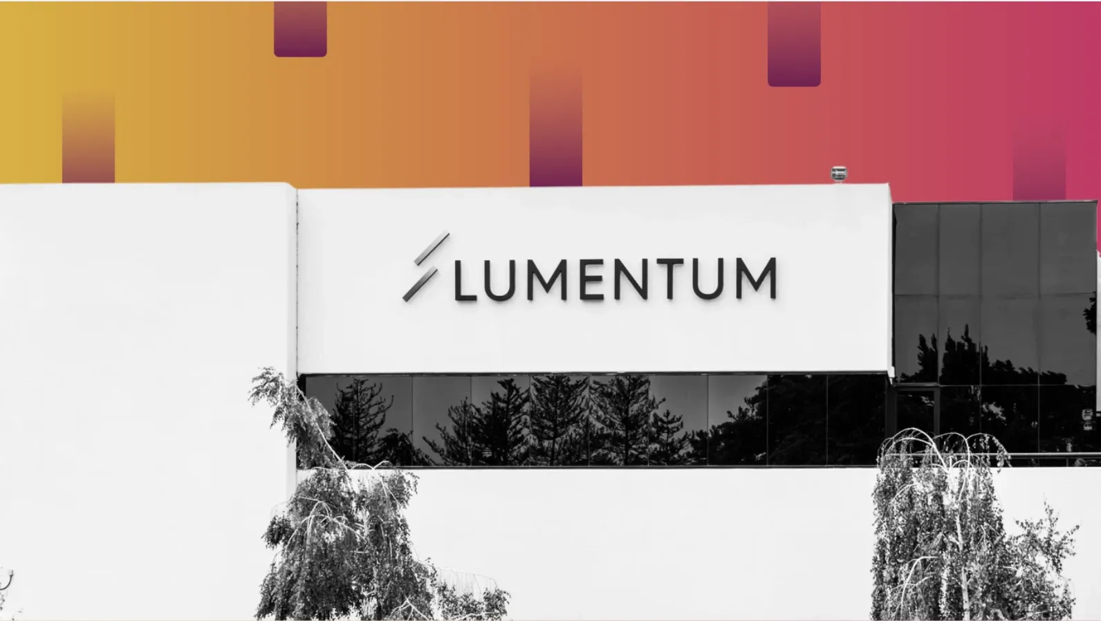 What's Up in the Markets